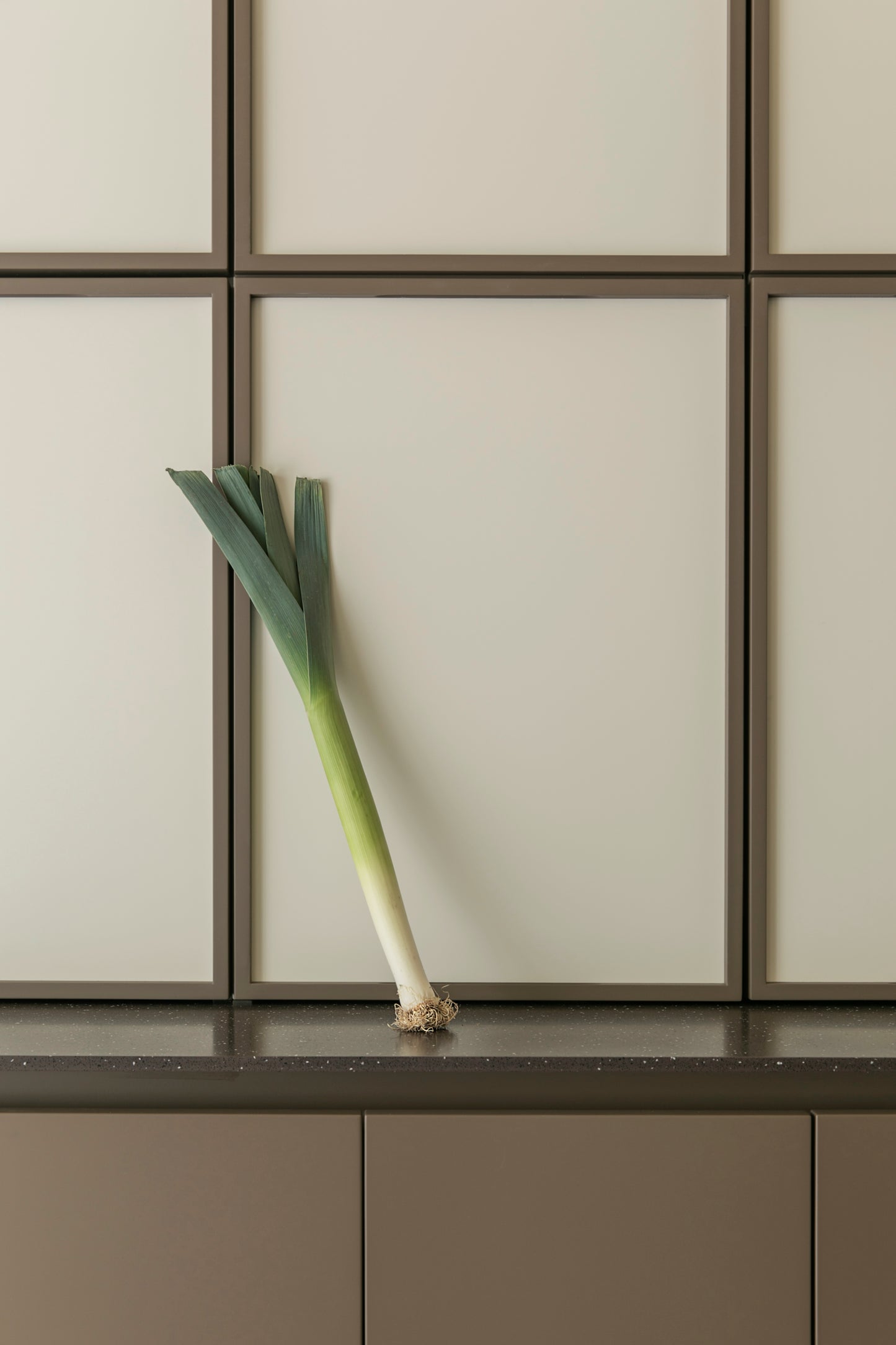 D0250-04 Tummanruskea